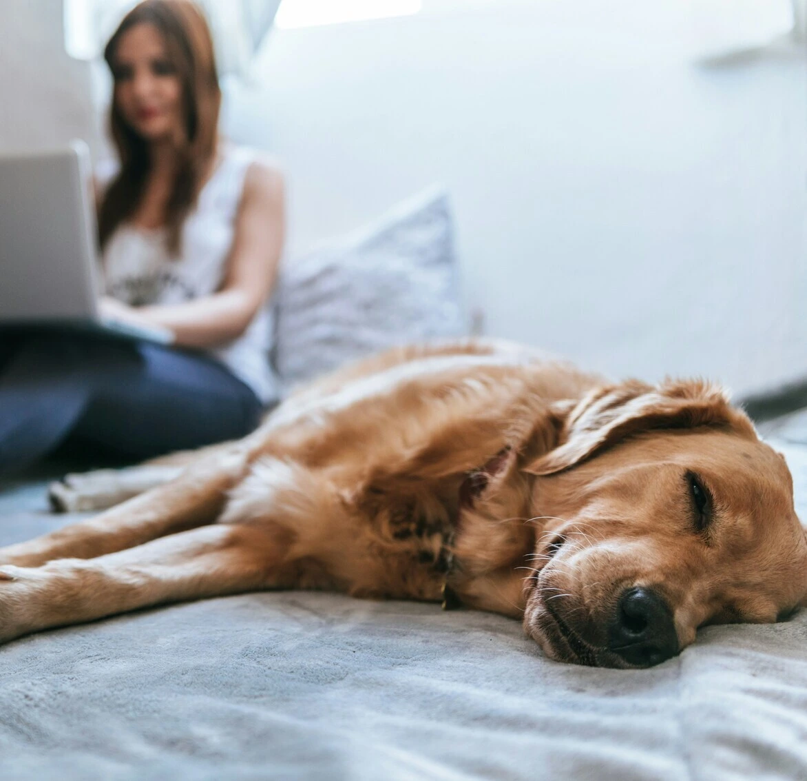 Online Therapie Beratung Coachingin der Praxis am Marienplatz, mit Schwerpunkt auf psychischer Gesundheit und naturheilkundlichen Ansätzen